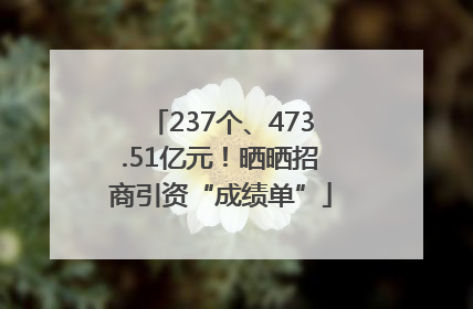 237个、473.51亿元！晒晒招商引资“成绩单”