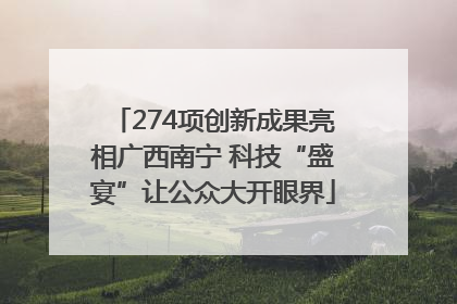 274项创新成果亮相广西南宁 科技“盛宴”让公众大开眼界