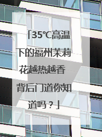 35℃高温下的福州茉莉花越热越香 背后门道你知道吗？
