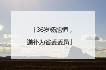 36岁杨旭恒，递补为省委委员