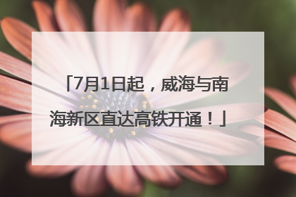 7月1日起，威海与南海新区直达高铁开通！