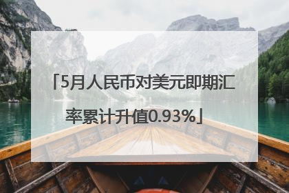 5月人民币对美元即期汇率累计升值0.93%