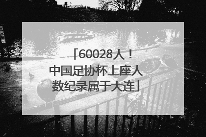 60028人！中国足协杯上座人数纪录属于大连