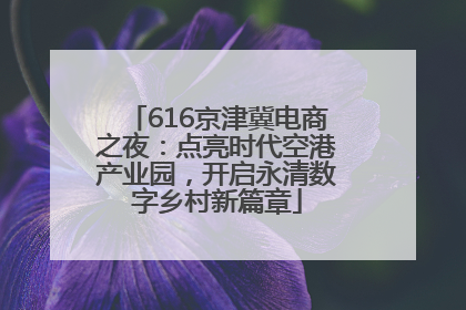 616京津冀电商之夜：点亮时代空港产业园，开启永清数字乡村新篇章