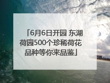 6月6日开园 东湖荷园500个珍稀荷花品种等你来品鉴