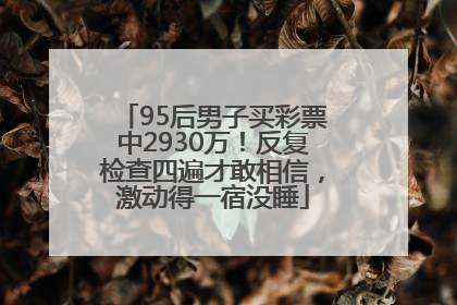 95后男子买彩票中2930万！反复检查四遍才敢相信，激动得一宿没睡
