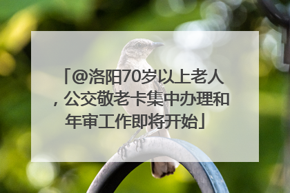 @洛阳70岁以上老人，公交敬老卡集中办理和年审工作即将开始