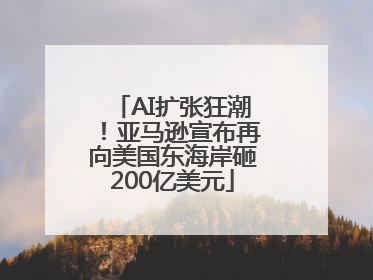 AI扩张狂潮！亚马逊宣布再向美国东海岸砸200亿美元